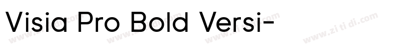 Visia Pro Bold Versi字体转换 Visia Pro Bold Versi字体转换